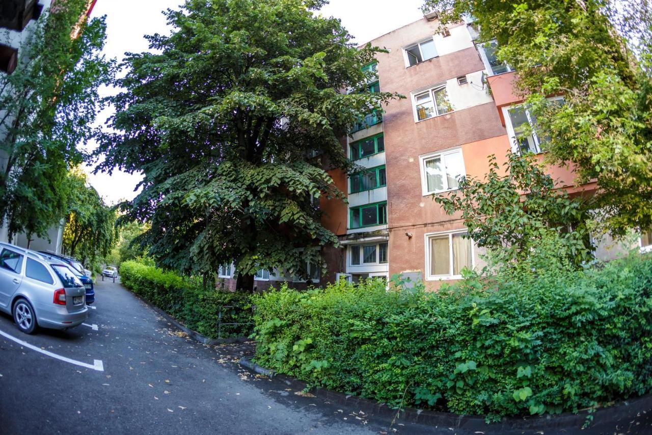 Apartament Family Rivulus 8 Μπάια Μάρε Εξωτερικό φωτογραφία